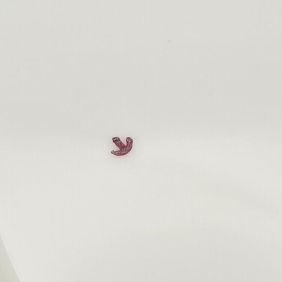 Minton 10" China Dinner Plate with Wheat and Bow S108 Pattern - Picture 8 of 10